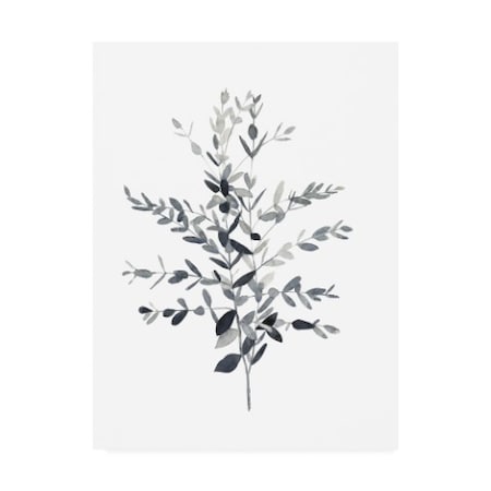 Emma Scarvey 'Paynes Grey Botanicals II' Canvas Art,14x19